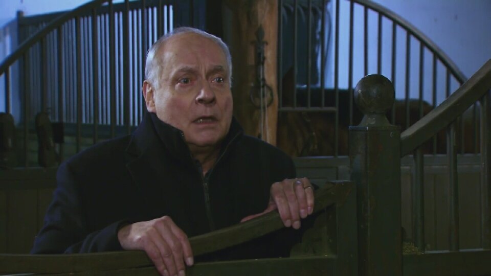 Hebel zamienił konia w kurę?! - oficjalna strona Na Wspólnej TVN